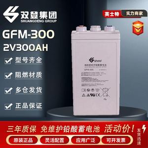 双登蓄电池GFM-300电力工程直流系统2V300AH发电站紧急电源直流屏