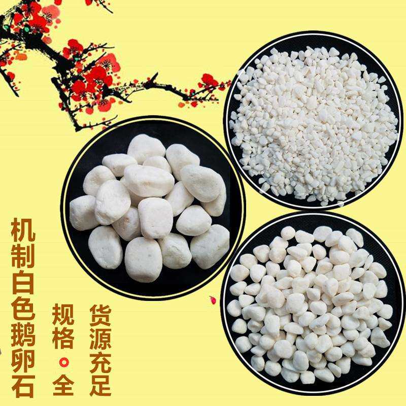 源头工厂自供 3-5cm白色鹅卵石 园林铺面白石子 园艺白石米 