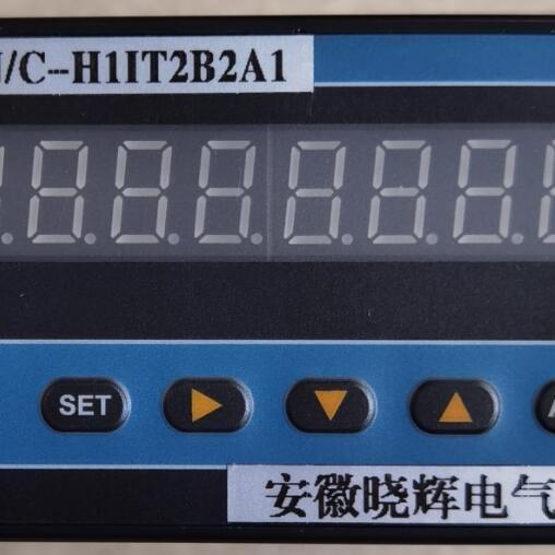 XSJ/C-H1IT2B2A1积算仪