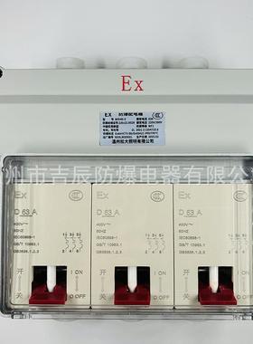 防爆配电箱3P三相BPZ40明暗380V10A16A25A32A照明空气开关断路器