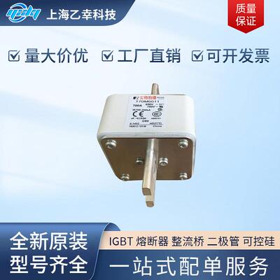 巴斯曼熔断器 170M6189 170M6190 170M6191 170M6192 170M6193