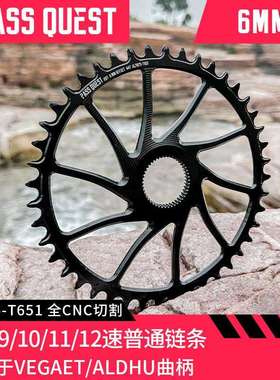 PASS QUEST 6mm Rotor曲柄 直装正负齿单盘Vegast Aldhu