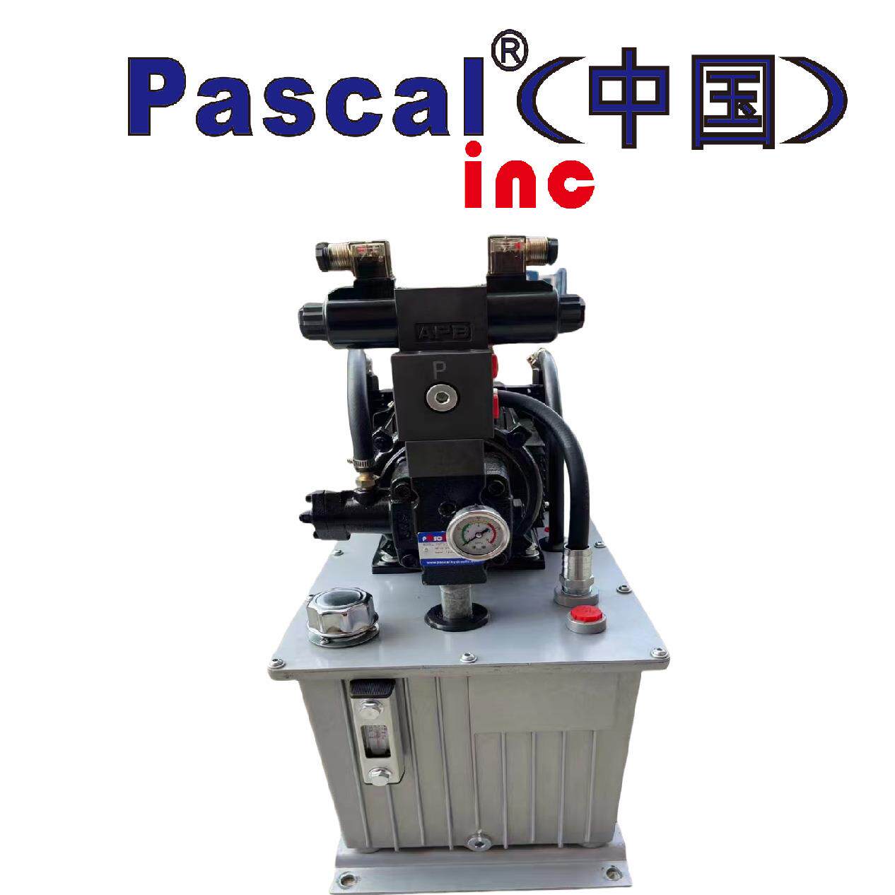 Pascal帕斯卡 加工中心数控机床液压系统节能液压站标准液压系统