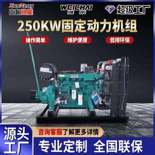 潍柴250KW固定动力发电机组工地学校备用电源柴油发电机组