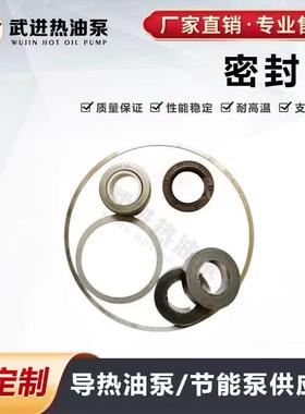 常州市武进导热油泵厂WRY热油泵110-132KW铝圈外径302mm