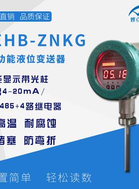 压力表厂家 YEHB-ZNKG投入式压力变送控制器/压力表/压力变送器
