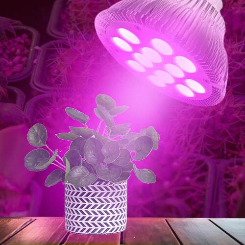 E27螺口LED育苗多肉植物par38灯12W18w补光上色红蓝全光谱生长灯
