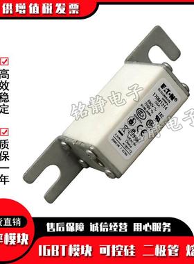 巴斯曼熔断器170M1313 170M1314 170M1315 170M1316 170M1317现货