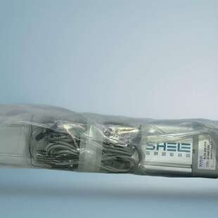 舍勒工业型大力推伺服电缸重载电动气缸ES63-200-P25-P-M-75-S3