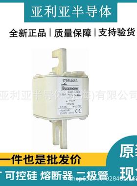 170M4066 170M4141 170M4145 直流快速熔断器 保险丝 原厂原盒