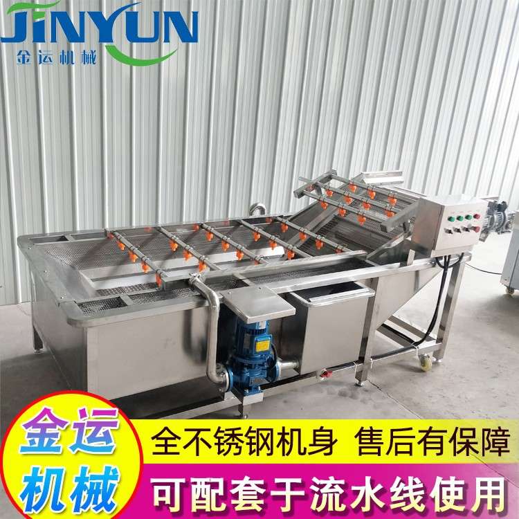 草莓蓝莓果蔬清洗机 蔬菜配送深加工设备 大枣番茄气泡清洗机设备