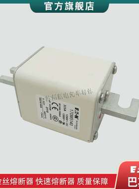 快速熔断器保险丝170M5138 5140 5144 5145  5147 5408 5410 5412