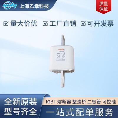 巴斯曼熔断器 170M6801 170M6802 170M6803 170M6804 170M6805