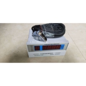 干式 CEF 变压器温度控制器 变压器温控仪 6干式 利达供应BWD