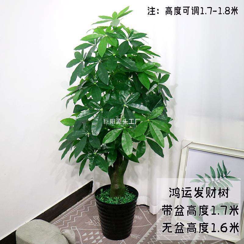 绿植发财树摇钱树系列客厅装饰绿色植物落地绢花盆栽塑料盆景