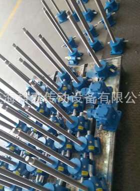 worm screw elevator SWL10T-6-1B-IV-Z涡轮蜗杆螺旋丝杆升降机