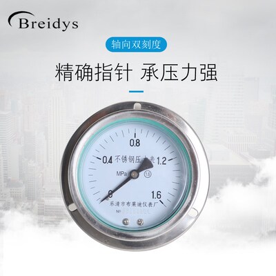 YNBF100ZT全不锈钢耐震压力表耐酸碱耐腐蚀304/316气压水压液压表