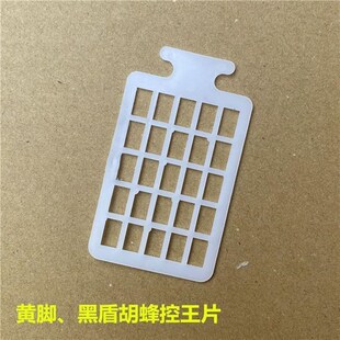 胡蜂控王片黄脚黑盾金环红娘蜂王防逃片10个控王收王