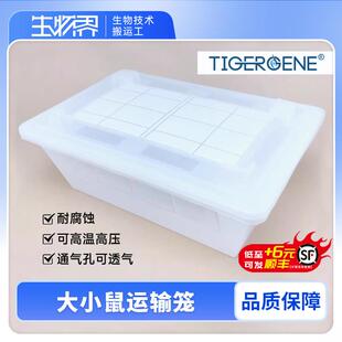 Tigergene小鼠运输笼带滤膜鼠笼运输笼大鼠运输笼运输鼠的转运盒