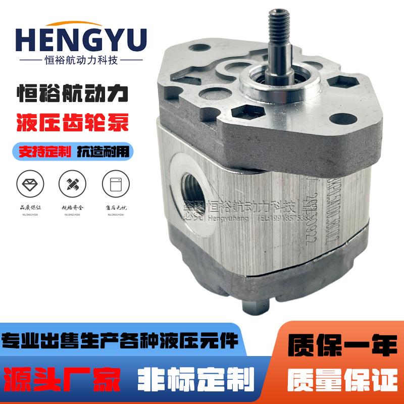 博顿油泵Boden齿轮泵BKP0.5A1D0.38C0L2 BKP0.5A0 BKP0.5B0液压泵