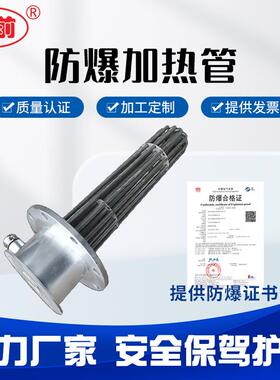 防爆法兰加热管大功率水箱锅炉工业加热棒不锈钢螺纹电热管发热管