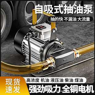 自吸大功率电动抽油泵12V24V220v插电家用齿轮泵柴油泵抽液压油泵