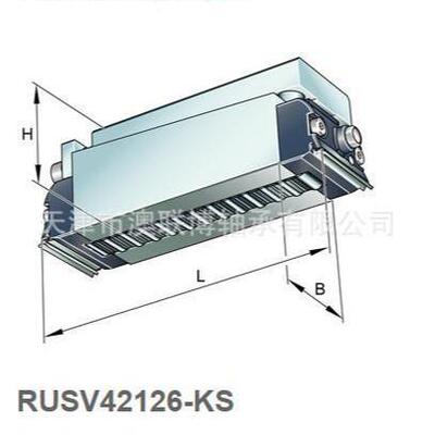 A滚动滑块 RUSV42126-KS RUSV30105-KS RUSV60134-KS IN 206NPPB