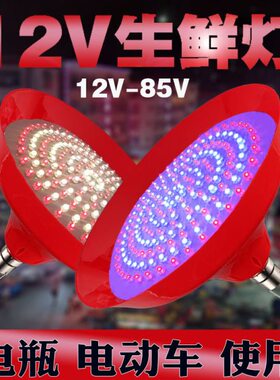 三轮车摆摊水果灯专用12v夜市12灯泡伏插电灯带地摊灯电动三轮车