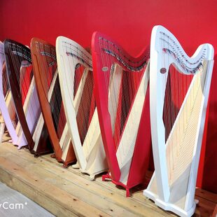 普及琴琴爱尔兰竖凯尔特民谣琴 琴竖全弦乐器38扮竖专业竖键琴 竖