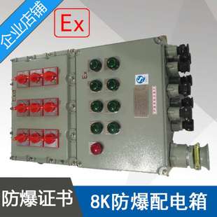 1进8出防爆动力检修开关箱BXMD51BXMD58 8K防爆照明动力配电箱IIB