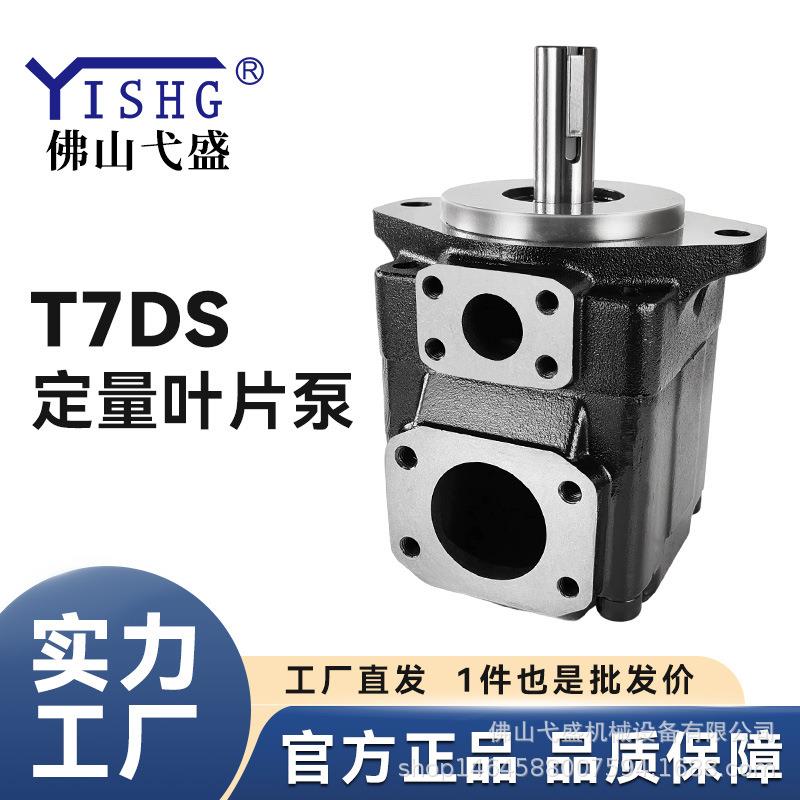 叶片液压油泵T7DS-B14/B17/B20/B22/B24/B28-1R00-A1M0高压定量泵