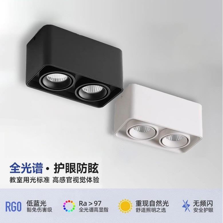 明装双头LED豆胆射灯全铝全光谱筒灯可调角度客厅卧室智能斗胆灯