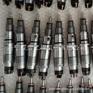 0445120231泵喷油嘴 3011喷油器 6754