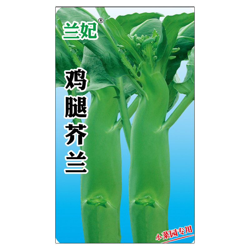 兰妃蔬菜种子鸡腿芥兰种子