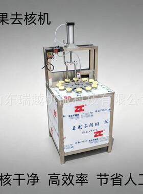 商用毛桃黄桃去核分瓣机工业脆柿子切瓣机不锈钢苹果取芯切瓣机