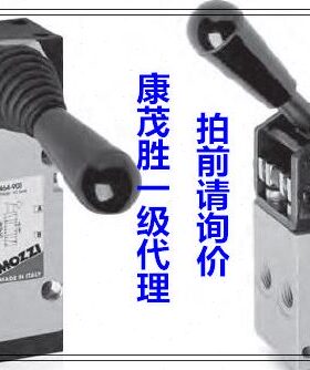 控ca8手00zz013 00-9mo13-8杆-0阀4康茂胜康茂盛i915杠049 - 0915