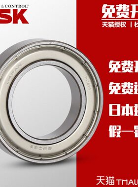 Z1969 V  D9N967 6 3ZZ RV189进口C6U22D1   20996NSK轴承 21 6