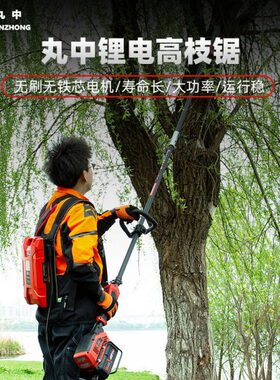 0充电丸H8E）专用PSWAN（高空ON锯电动中高枝锯G市政0修枝SZ锂电