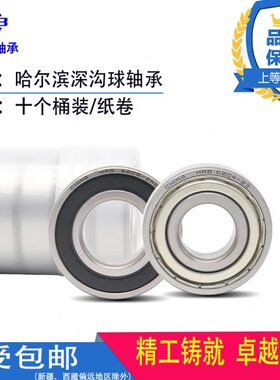 2021 520 2020320 装60十个20  哈尔滨620 6466ZZ轴承/高速 RS666