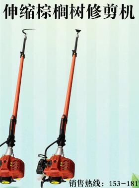 二冲程汽油伸缩高枝锯 园林绿化修枝伐木高枝油锯 4米棕榈修剪机