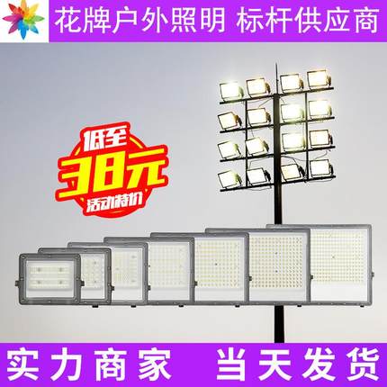 花牌LED市电220V泛光灯 户外防水照明灯具 投光灯 庭院灯 厂家直