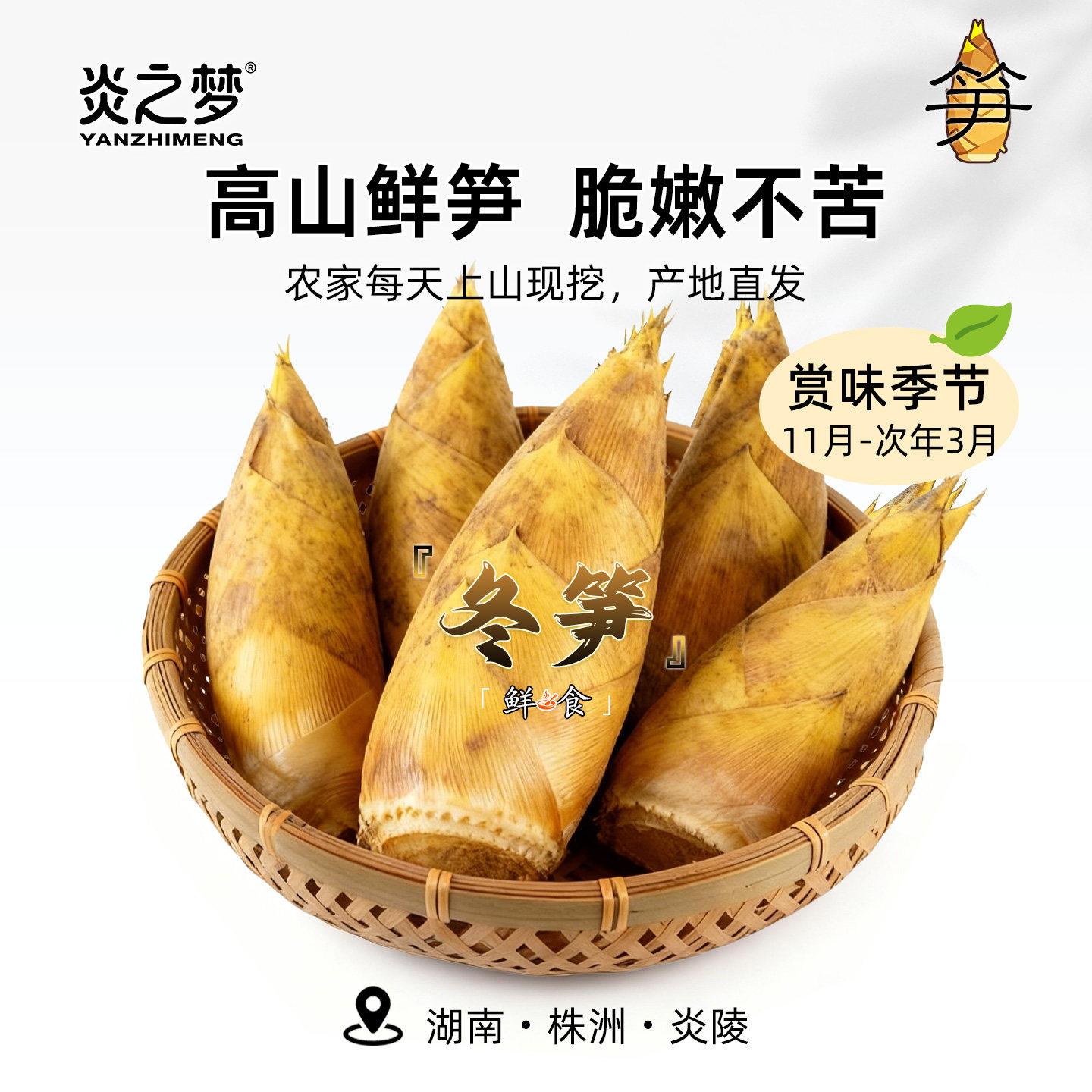 湖南冬笋农家现挖高山新鲜冬笋去老根野生黄泥竹笋蔬菜产地直发