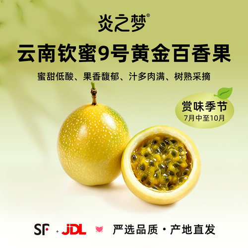 云南屏边高山钦蜜9号黄金百香果