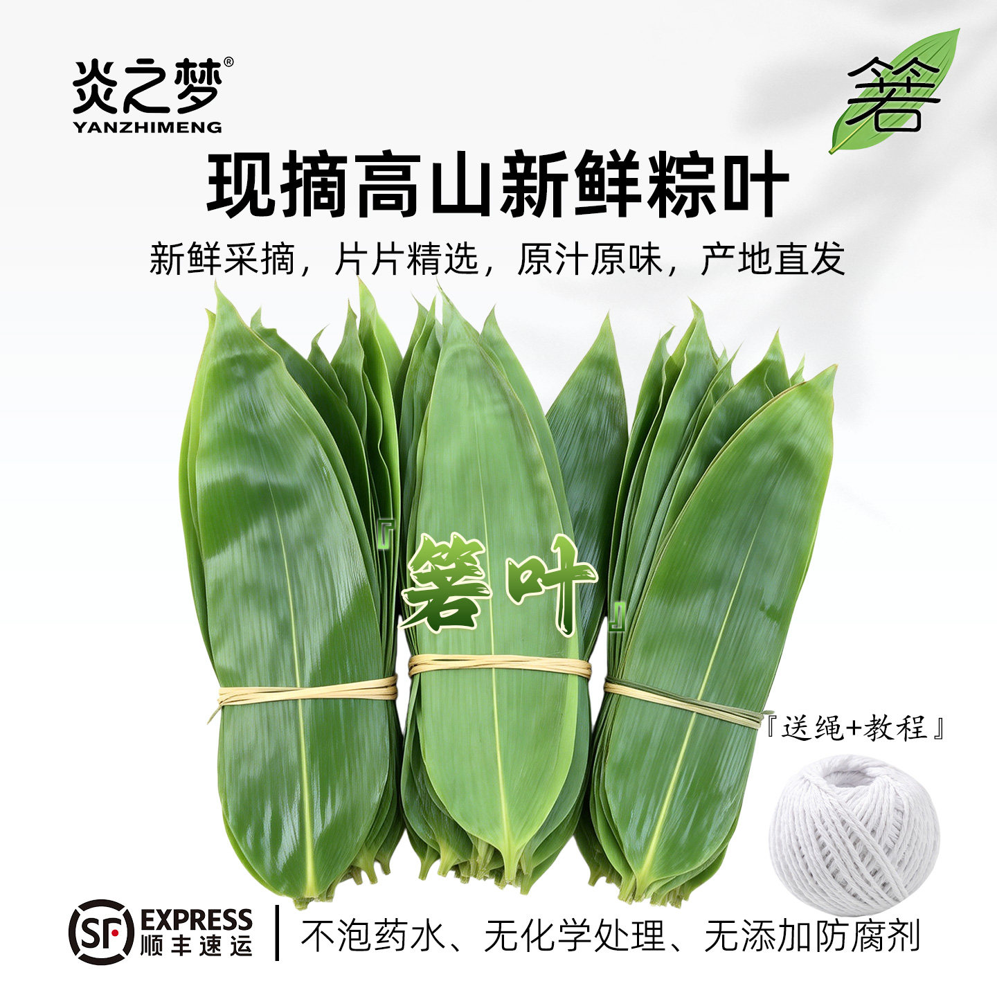 [顺丰]现摘粽叶新鲜粽子叶大号野生棕叶包粽子专用旗舰店湖南箬叶