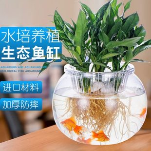 防摔透明塑料水培植物水养绿萝玻璃PC花瓶客厅桌面摆件造景小鱼缸