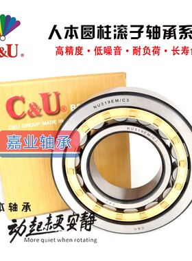 人本圆柱滚子轴承 N NJ NU NUP 2319 2320 2322 2324 2326 EM/C3