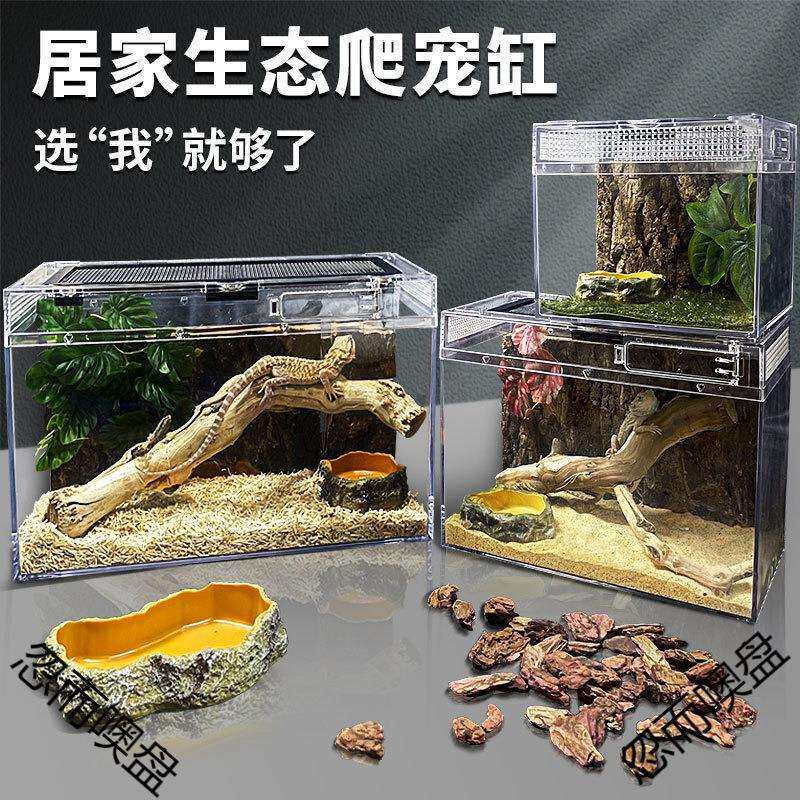 爬缸守宫蜥蜴蛇甲虫乌龟陆龟爬宠爬虫角蛙饲养箱盒专用缸鱼缸雨林