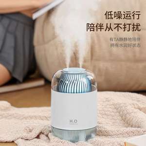 海纳斯（HANASS）加湿器 双喷头小型办公室 桌面家用 加湿器 D12