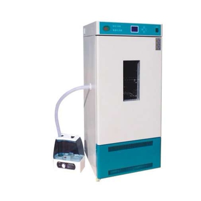 小型恒温恒湿箱/恒温恒湿培养箱/HSX-80B恒温恒湿箱/恒温恒湿试验