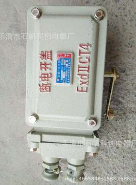 防爆行程开关BLX11 LX510-12 BLXK501-10 LX510-32重锤开关通用